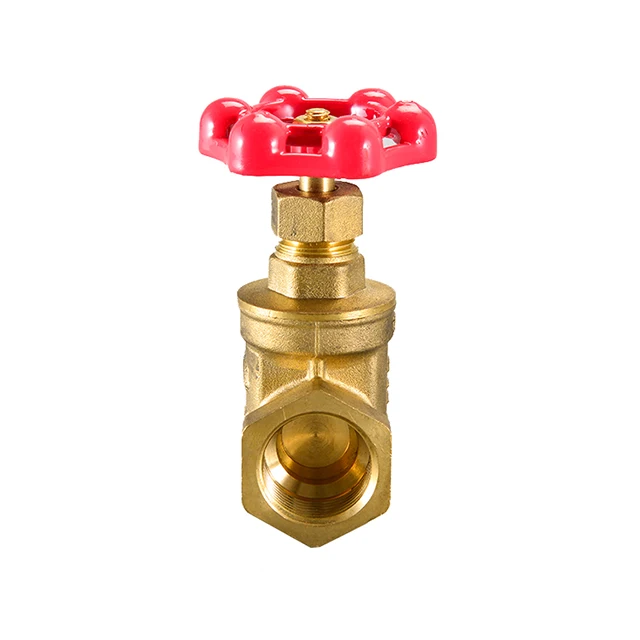 
20ZQ-808 Brass gate valve 
