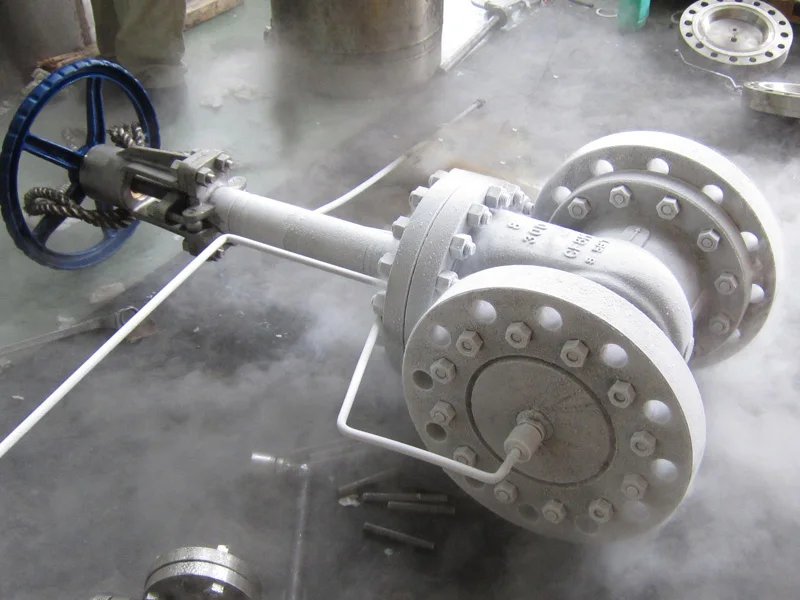 
WZLD Stainless steel Cryogenic Gate Valve 