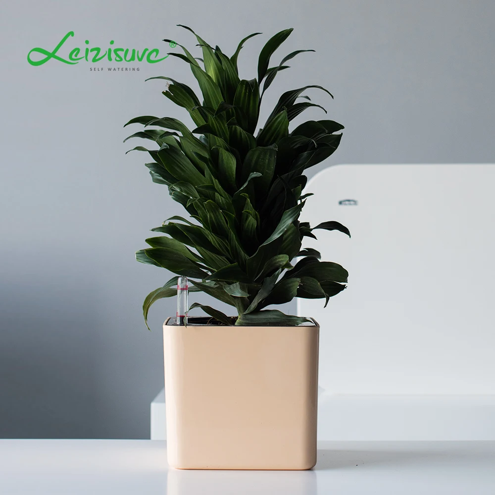 Leizisure Self-watering Pots Manufacture Indoor Mini Small Lazy Plastic Flower Pot Cube Herb Bonsai Plant Pot Planter