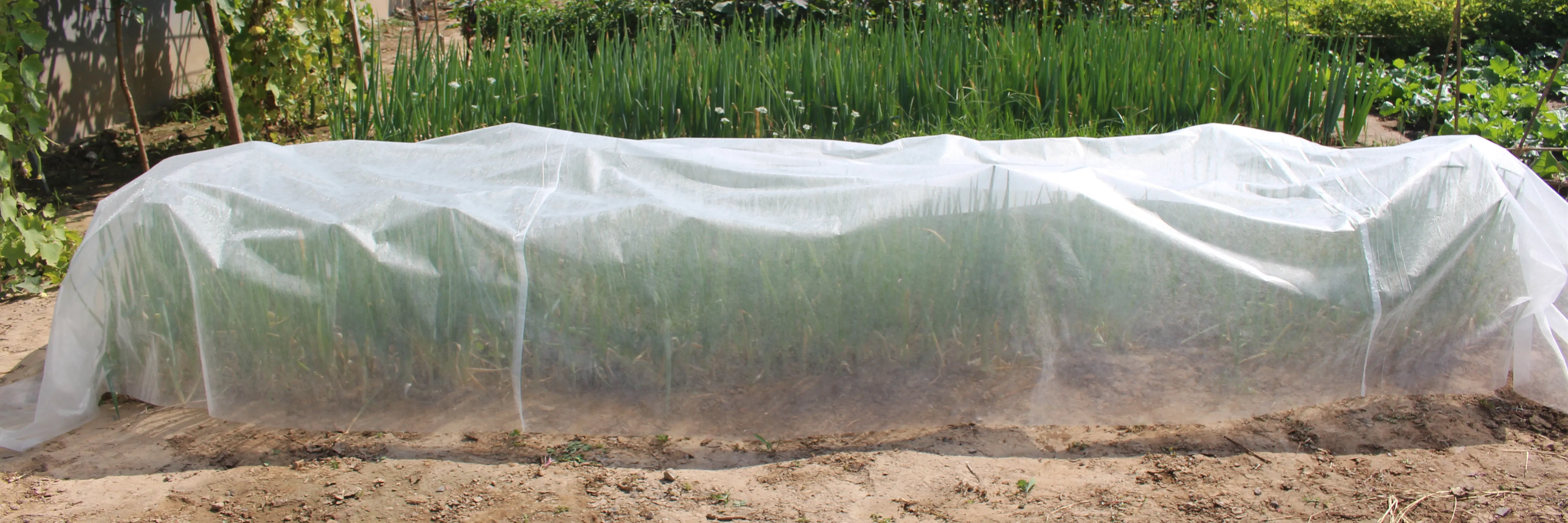 Special protective non woven bag for fruit&tree Customized reusable agriculture