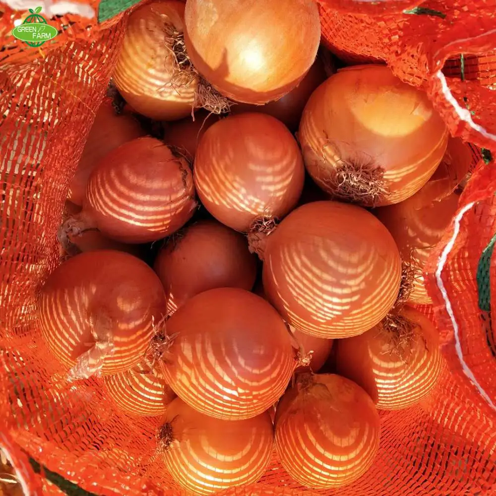 yellow onion packing in 25kg mesh bag  Sent to the Netherlands