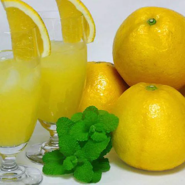 Цитрусовые саженцы оранжевого дерева