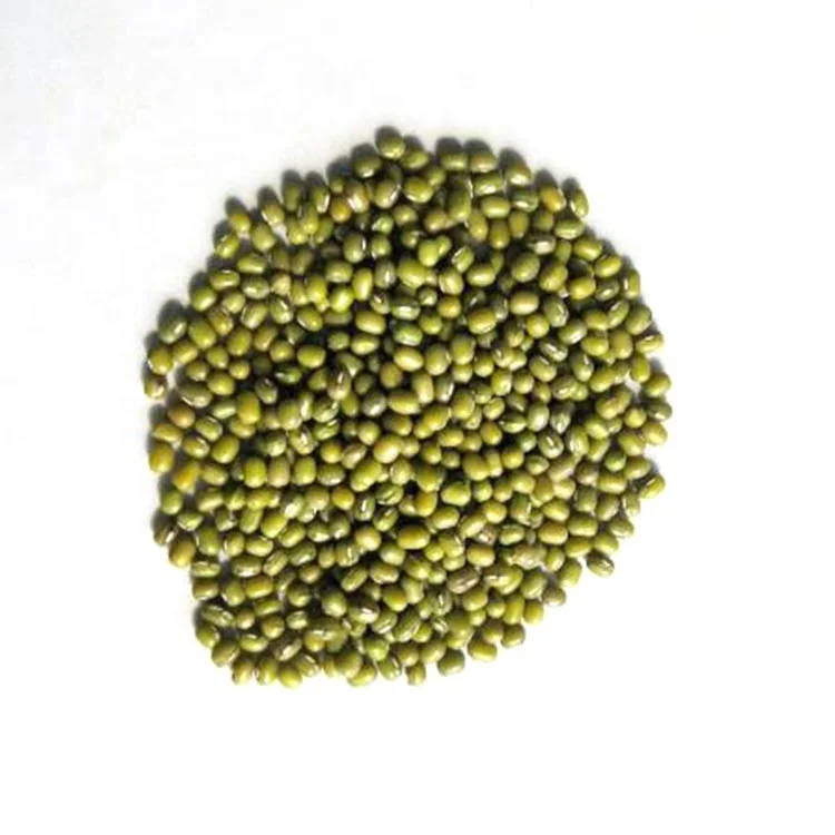  Factory supply high quality green mung beans with competitive