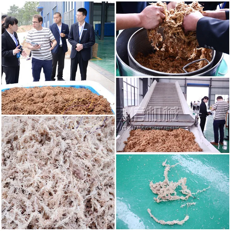 
Big capacity Low Temperature hemp drying machine 