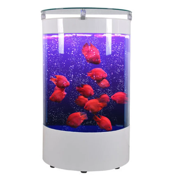 2018 трендовые продукты отличное качество прозрачный полуцилиндрических акрилового аквариума