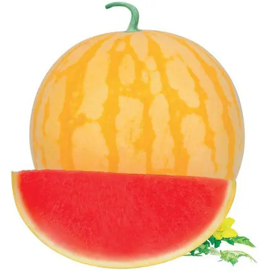 Оптовая продажа, семена арбуза без семян желтой кожи