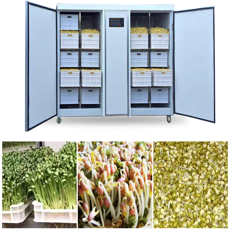 Автоматическая машина для прорастания семян люфы