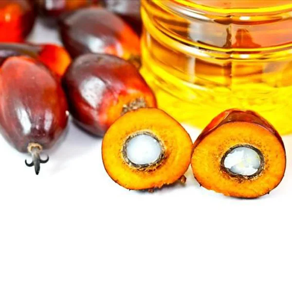 Большое непрерывное оборудование для непрерывной переработки пальмового красного масла по заводской цене