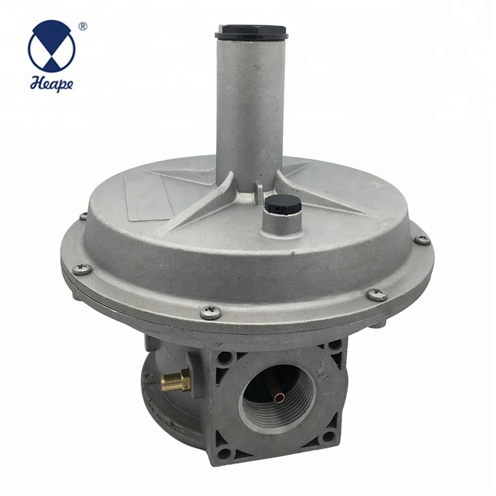 
HEAPE 2 Bar Multifunction Gas Pressure Regulator with Filter DN15-DN50 Dry Gases OEM and ODM 30days CN;ZHE HPNR05 