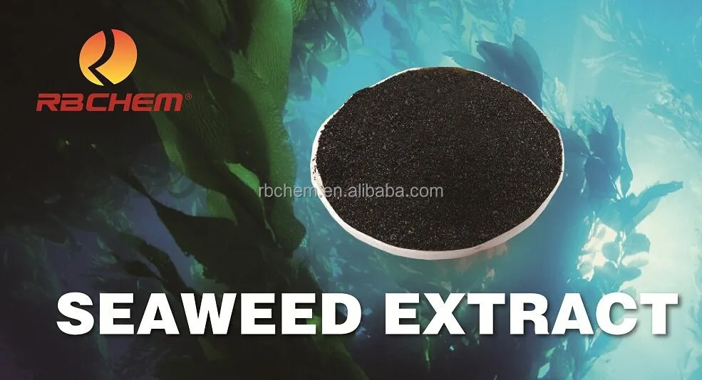 water soluble fertilizer seaweed extract 20% alginate acid powder