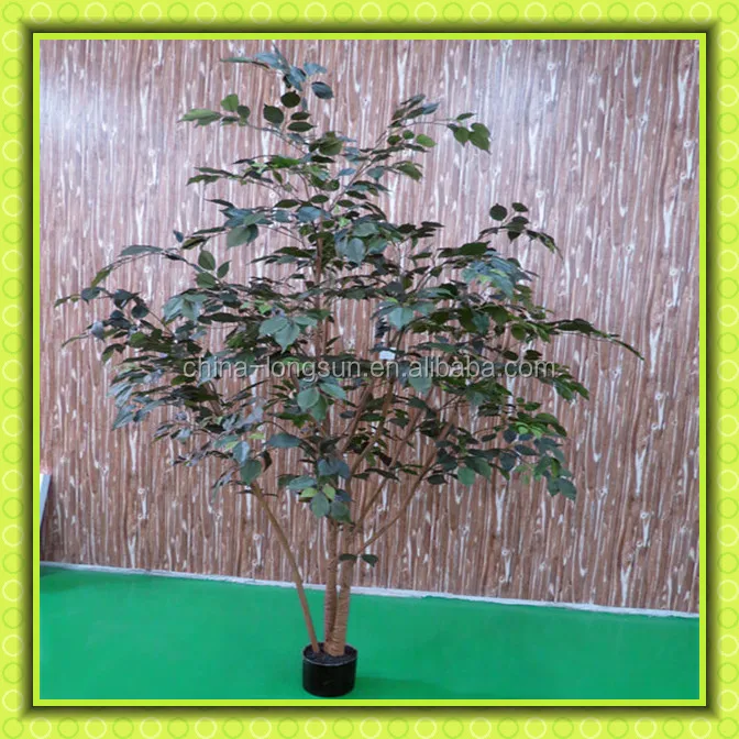 Lsd-1219505 2016 горячая распродажа поддельные ивы с благоприятным ценой