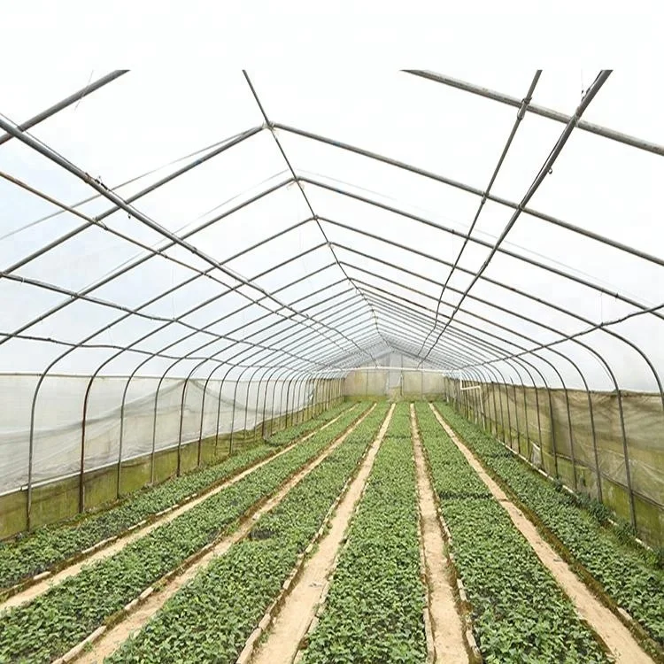 Высококачественный бесплатный образец, без калорий, экстракт монах, органический подсластитель Mogroside V 20% ~ 60% от производителя