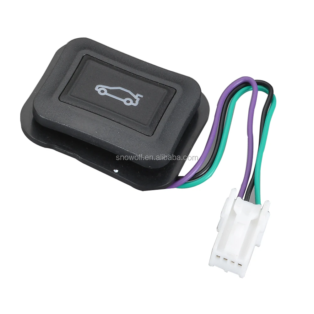automobile hot rod car open lock power tail gate door trunk dual key push button switch