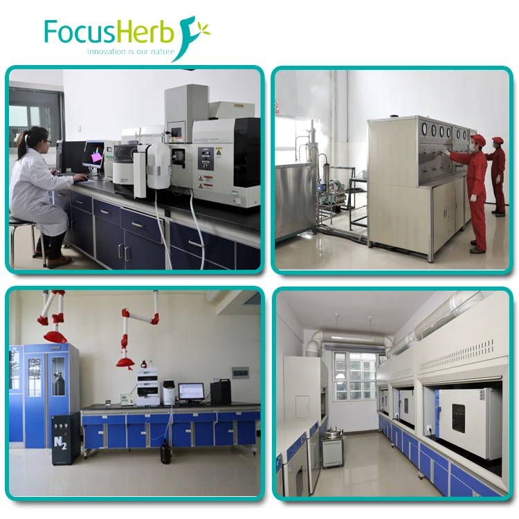 
FocusHerb supply Gamma Amino Butyric Acid, GABA 99% 