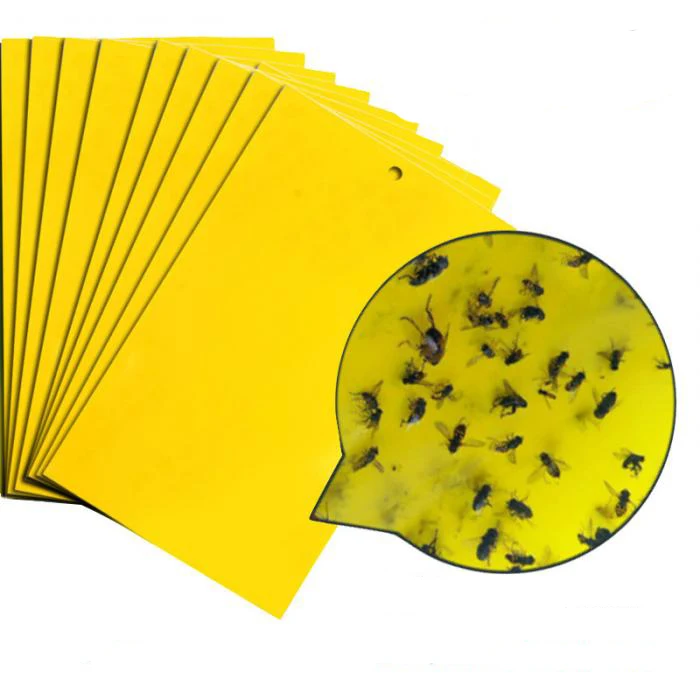 Booster High Quality Double Sided Insect Yellow Sticky Traps