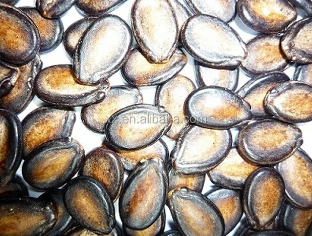 Watermelon seeds kernel dry in the sun hybrid watermelon seeds price