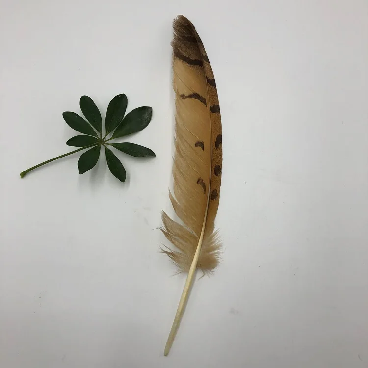 Natural owl Feathers 14-16 inch /35-40 cm carnival Diy costume