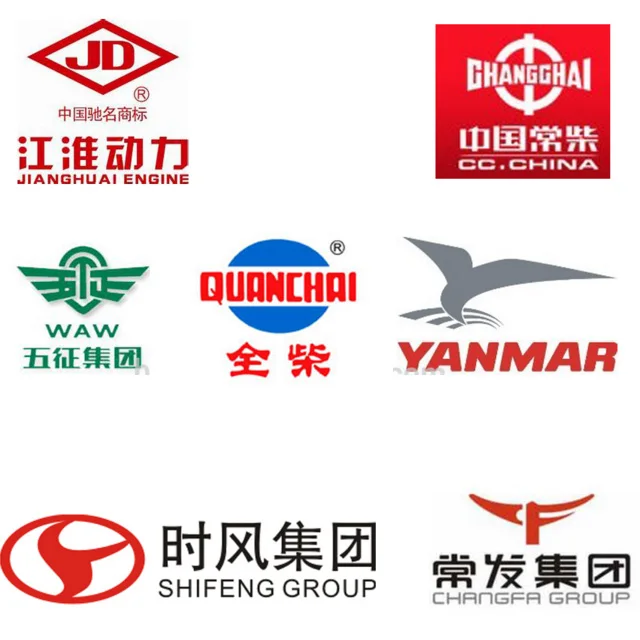 made in China diesel plunger