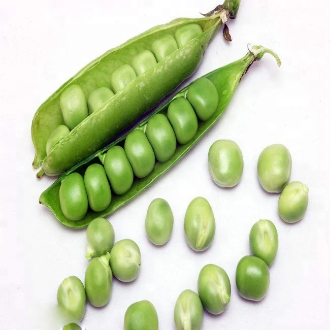 Изолированный порошок белка желтого гороха, цена