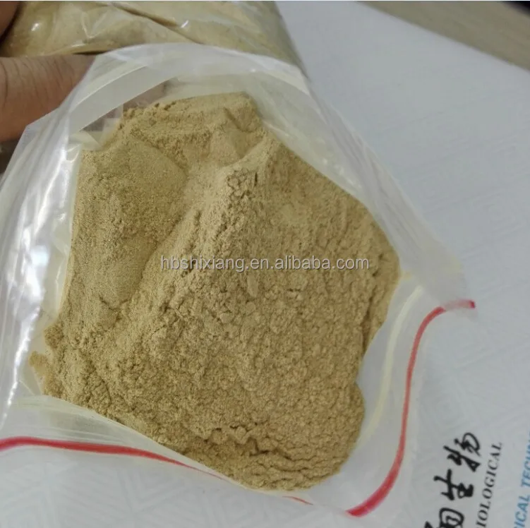factory supply animal feed additive high protein yeast powder