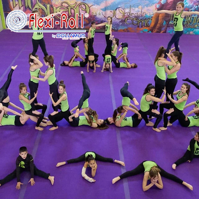 Dollamur gymnastics equipment/carpet rhythmic gymnastics /standard cheerleading mat