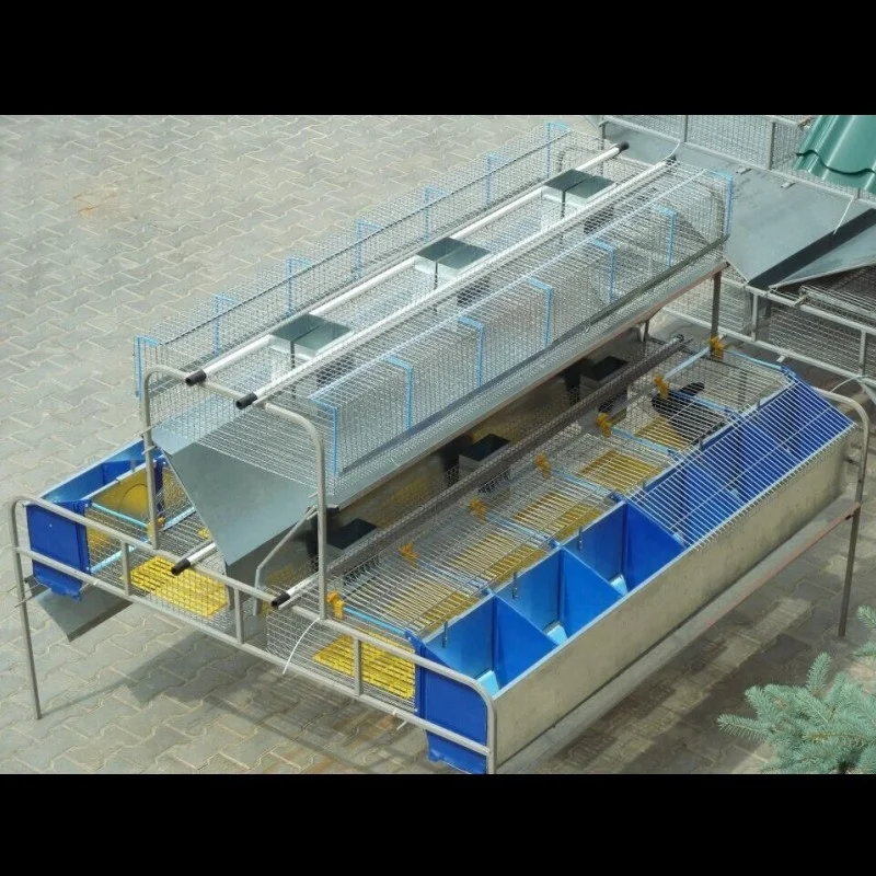 Hot Sale for China Standard Rabbit Layer Cage(ISO9001) with Automatic Machine