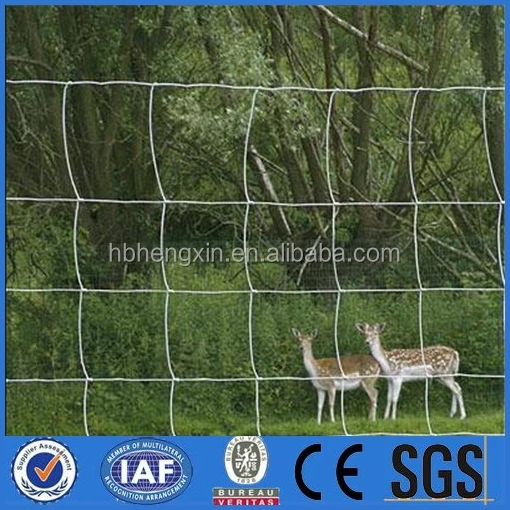 horse/sheep/goat/caw barns for ranch/farm/field/cattle fence(China Factory)