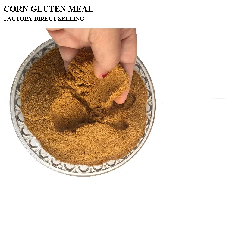 
Poultry Feeding Corn Gluten Meal 60% Protein Probiotics Bulk 
