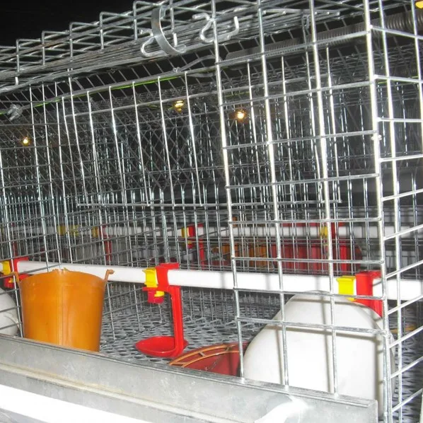 meat broiler rearing chicken cages for sale for nigeria