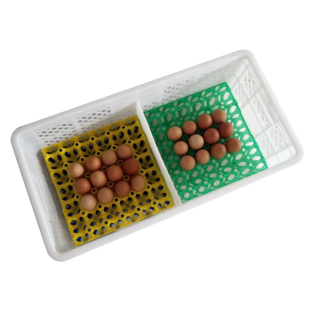 egg box plastic (6)