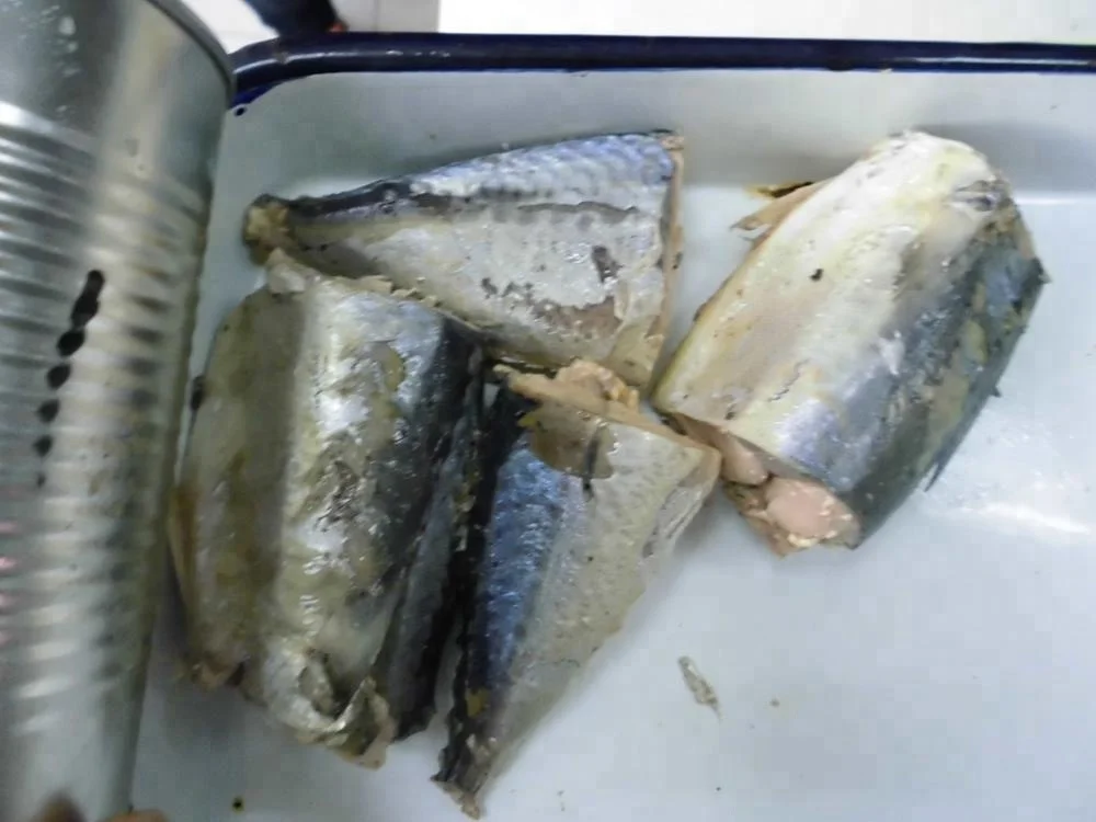 
Canned Horse Mackerel In Brine ,Canned Mackerel In Tomato Sauce 425GX24TIN 