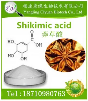 
100% Pure Natural Hot Sale High Quality Shikimic Acid Extract Powder 