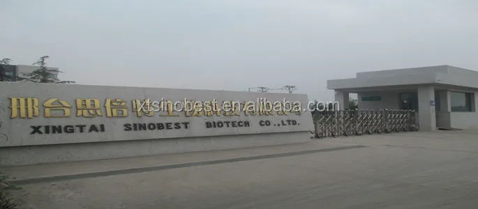 Bio Fertilizer Bacillus Mucilagionsus