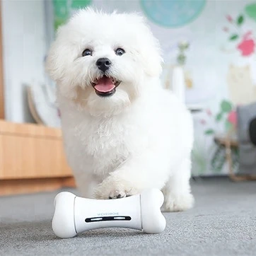 Оптовая продажа, Самые продаваемые товары для домашних животных, умная жевательная игрушка в форме кости для собак и кошек