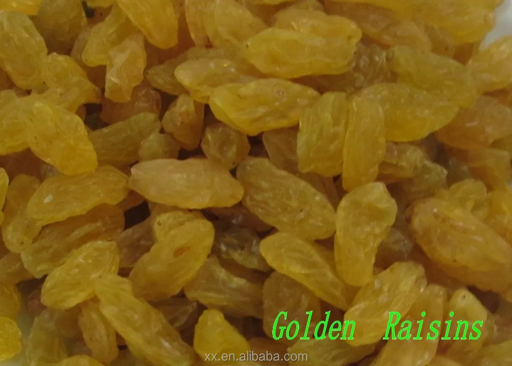 
GOLD RAISIN 
