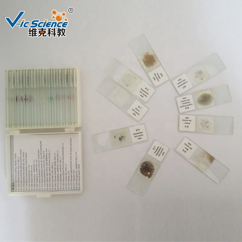 24pcs Mineral Thin Section Slides set  geography educational teaching thin  stone slides