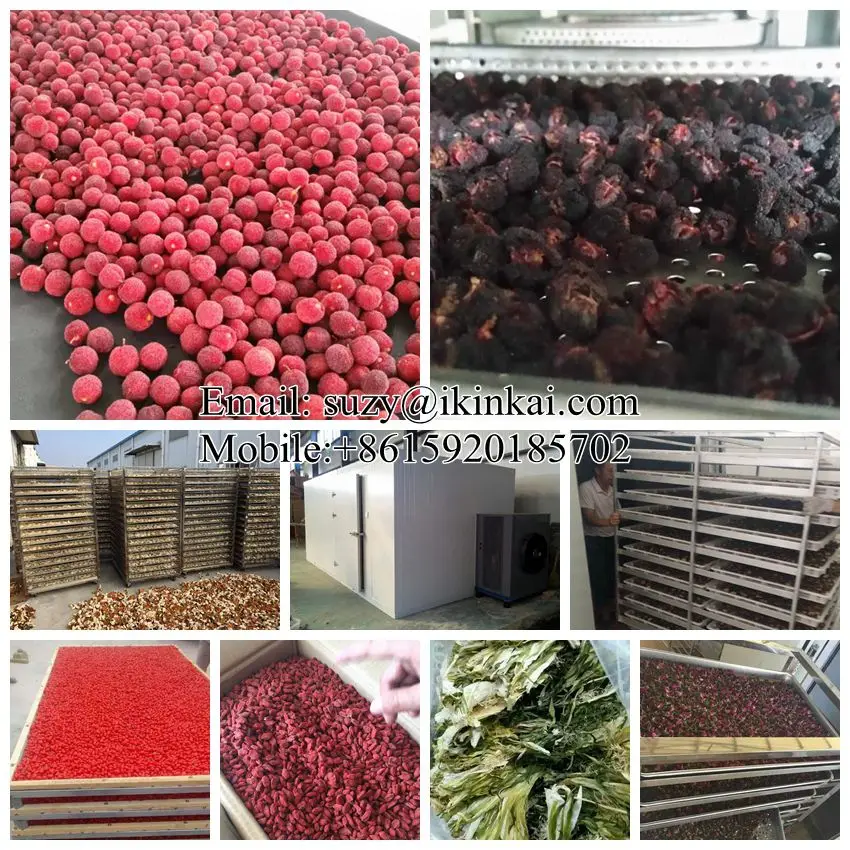 industrial drying chamber for dehydrating fruits vegetables