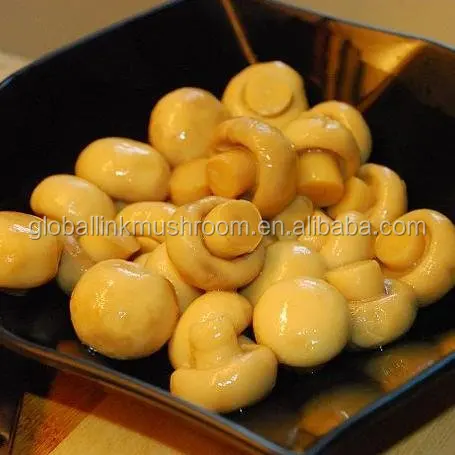 Canned Mushroom  Whole in Large Can 2840g