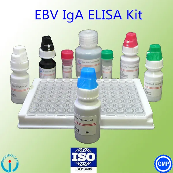 enzyme immunoassay Epstein Barr Virus VCA IgA EBV IgA ELISA test kit