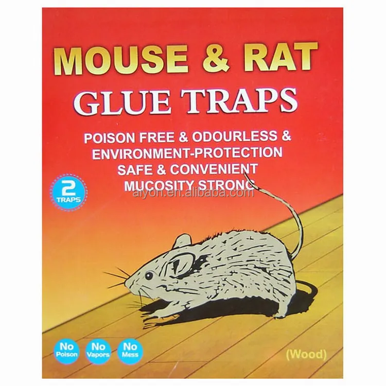 kill mouse top quality glue trap