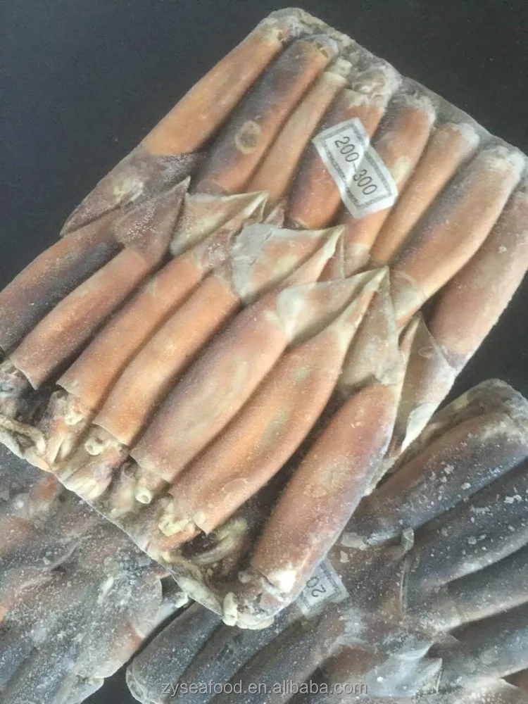 200-300G Frozen Argentina Squid