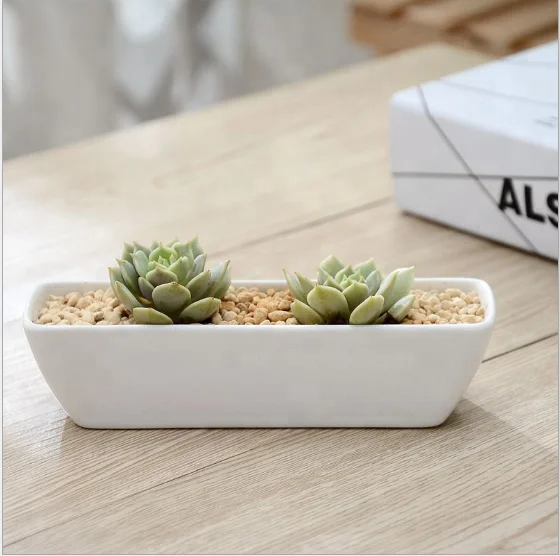 White minimalist creative gardening fake flower resin ceramic small flower pot