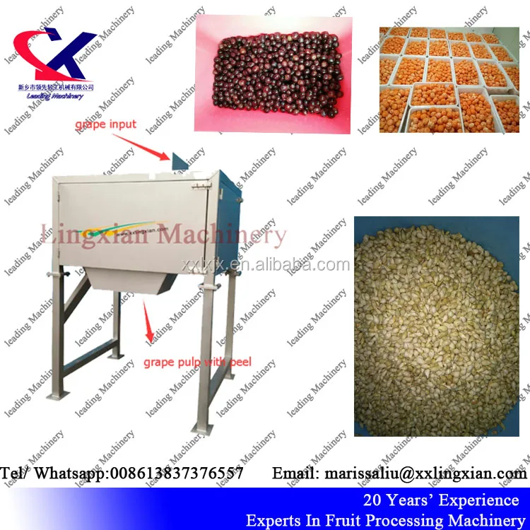 Профессиональный Производитель вина, оборудование для обработки виноградных косточек Remover