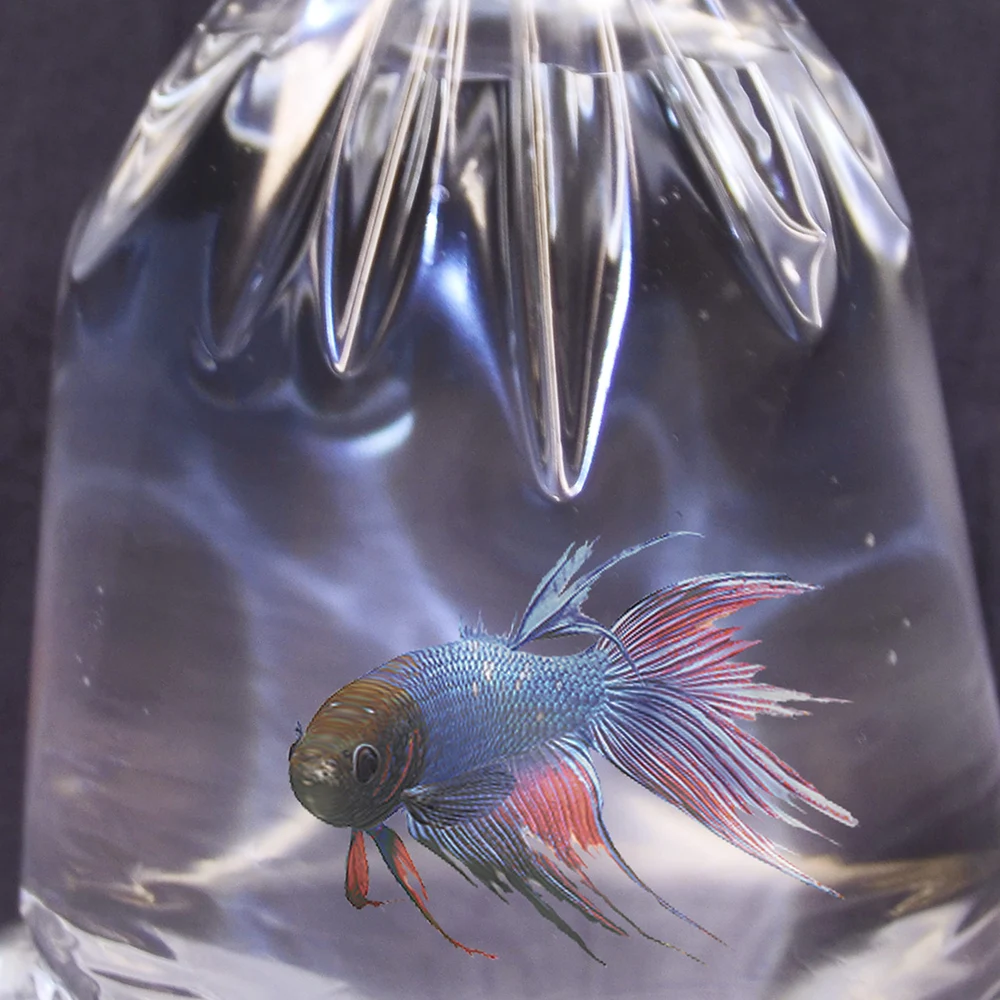 Hot Sale High Strength Water Tight Polythene Fish Transportation Bag