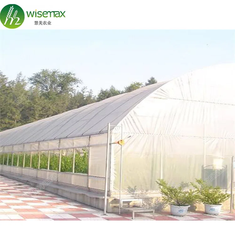 Горячая Распродажа, заводская цена, тоннель для пластиковой пленки, коммерческий зеленый дом