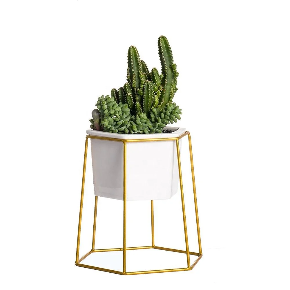 OEM 551-17 Modern Design Gold Hexagon Planter Flower Pot Holder Metal Iron Rack for Succulents Herbs Cactus Plants