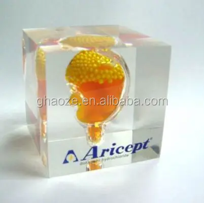 
Acrylic Stomach Paperweight Liquid Filled Paperweight Factory 