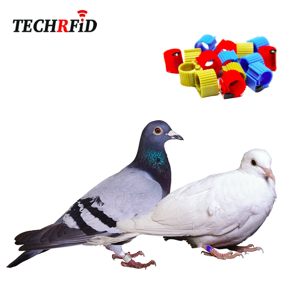 EM4305 RFID Racing Pigeon Chip Ring For Tracking