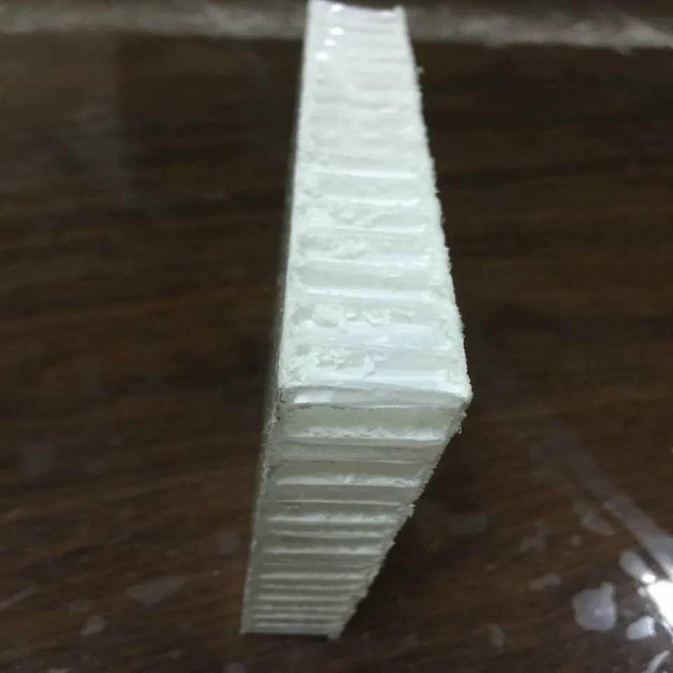 
High Quality Thermoplastic Polypropylene Honeycomb 