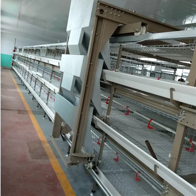 Broiler Cage Manufacturers/Type/H-Type Broiler Cage